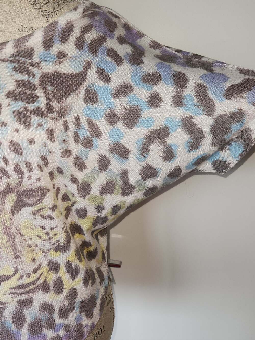 Leopard - Picture 7 of 11